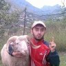 Amata